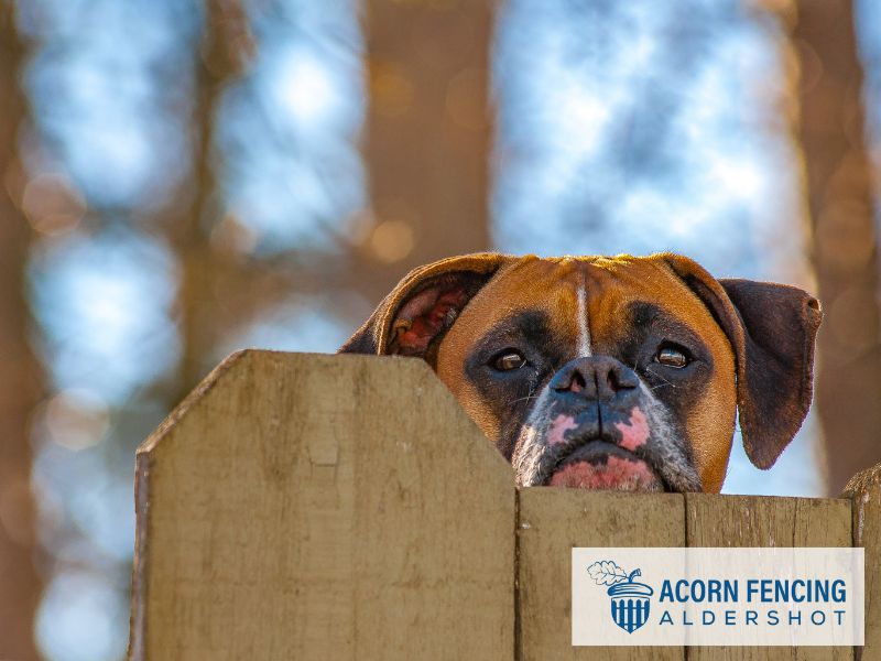 Aldershot Fencing Wooden GU11 faq