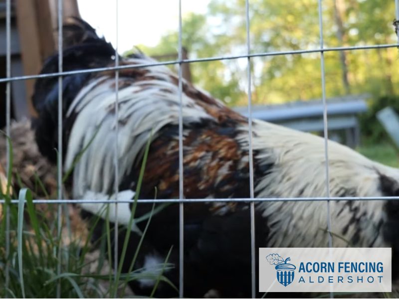 Aldershot Wire Mesh Fencing