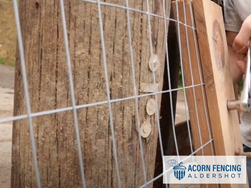 Aldershot Wire Mesh Fencing GU11