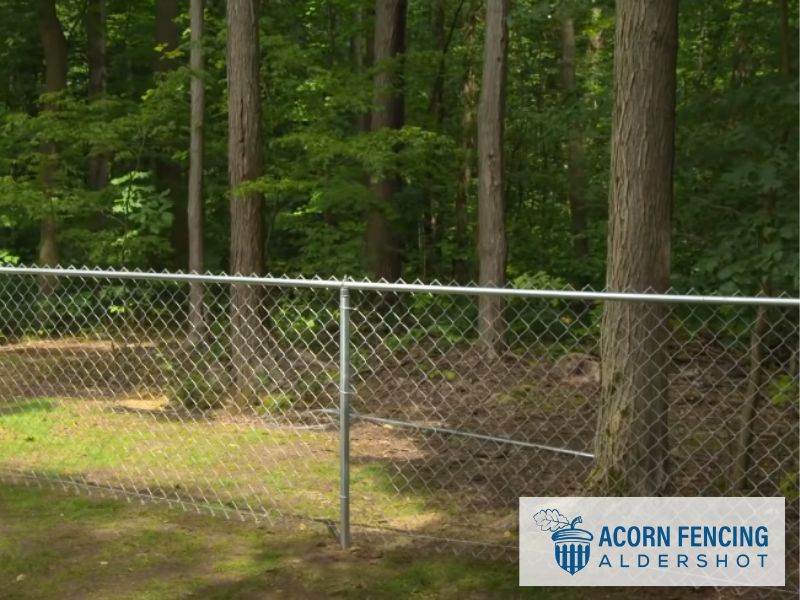 Fencing Aldershot Wire Mesh